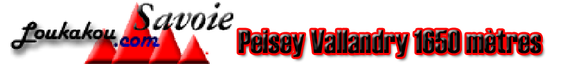 Location à Peisey Vallandry